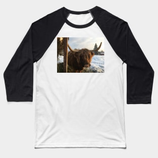 Scottish Highland Cattle Cow 2214 Baseball T-Shirt